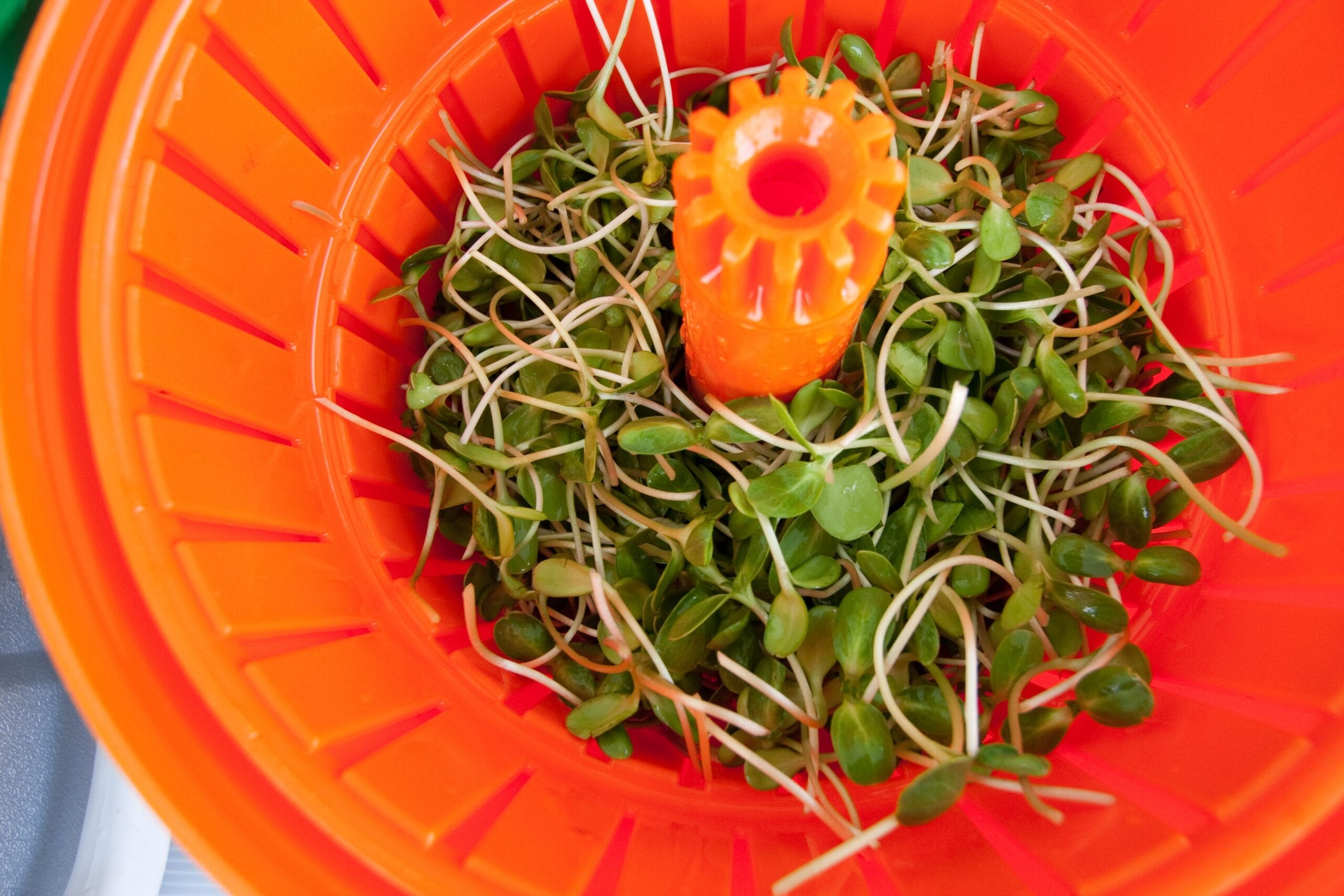 4. Building Your Crop Plan – Bringing It All Together