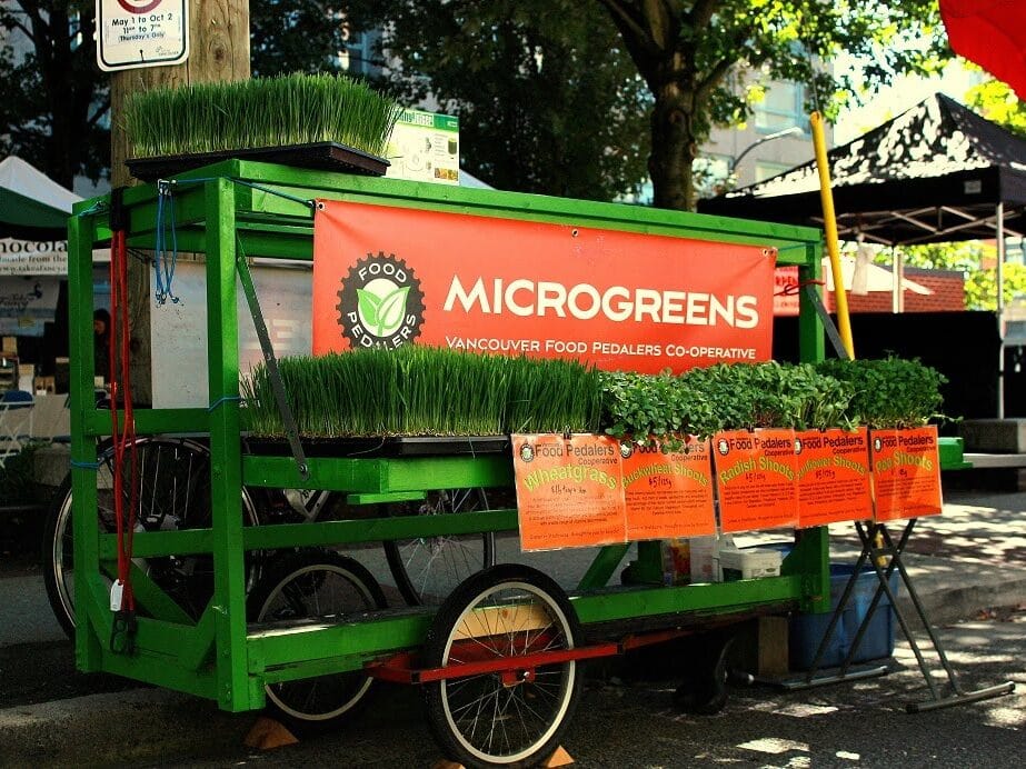 food pedalers trailer at market