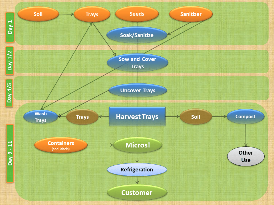 Course 7.1: Microgreens Workflow Diagram